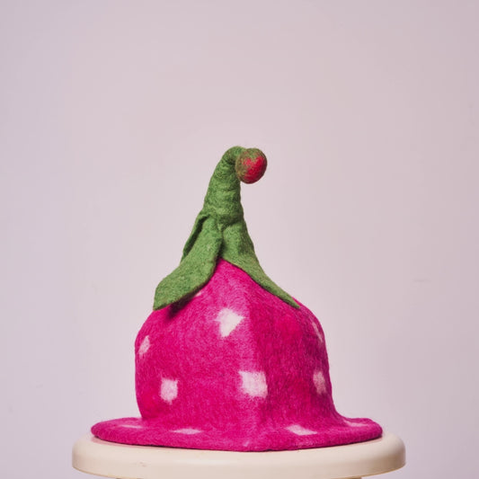 Saunaplant #6: Dragonfruit